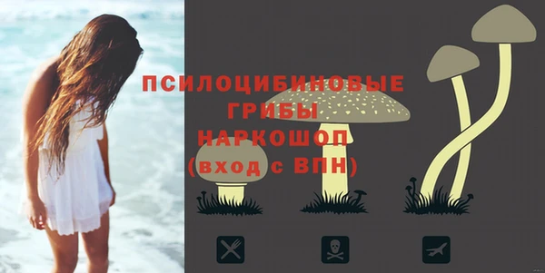 спиды Арсеньев