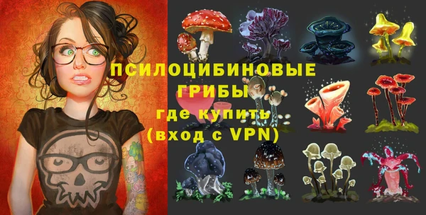 спиды Арсеньев
