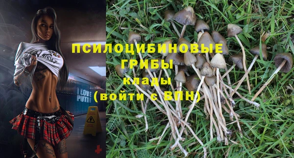 соль курить ск Армянск
