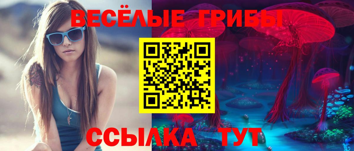 Псилоцибиновые грибы Psilocybine cubensis Подольск