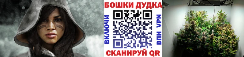 Бошки Шишки AK-47 Подольск